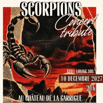 CONCERT TRIBUTE SCORPIONS